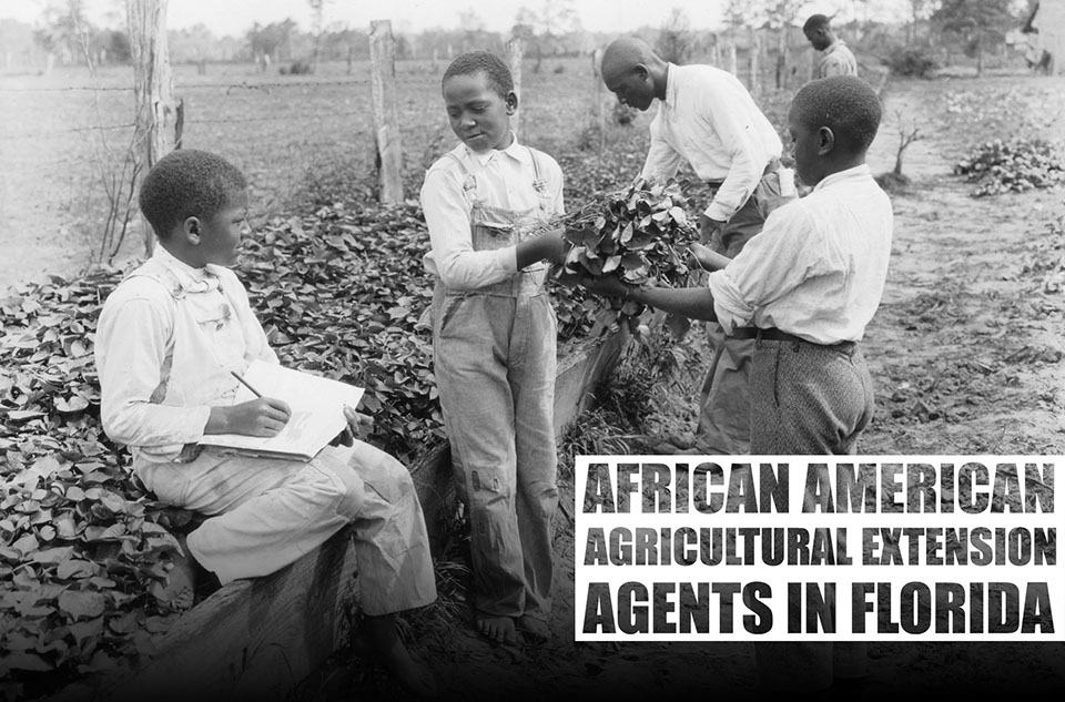 African American Agricultural Extension Agents in Florida